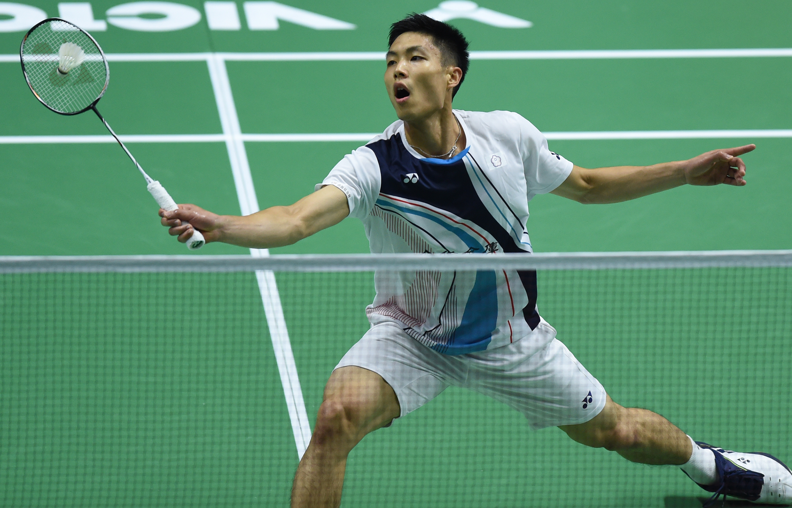 参赛阵容的 参赛阵容的